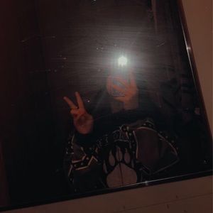 Meet your Posher, Cheyenne